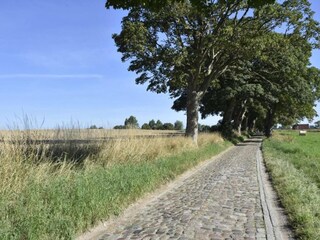 Vakantiehuis Damshagen Omgeving 21