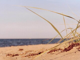 Vakantiehuis Damshagen Omgeving 27