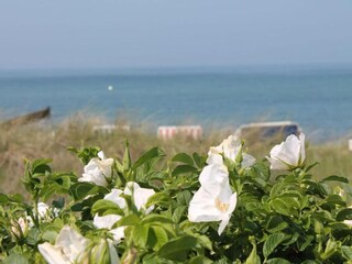 Vakantiehuis Damshagen Omgeving 18