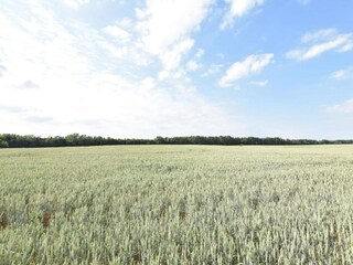 Vakantiehuis Damshagen Omgeving 27