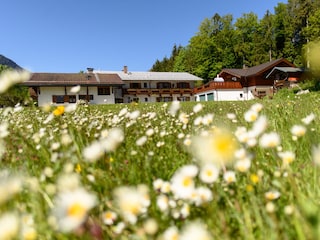 Frühling