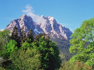Waxenstein