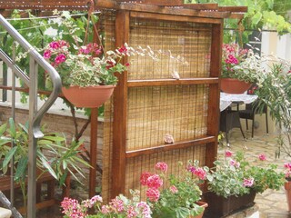 Appartamento Vrh Pianta del piano 25