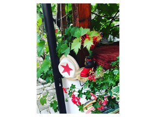 Appartamento Vrh Registrazione all'aperto 8