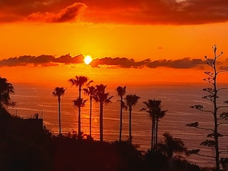 Ferienwohnung Puerto de la Cruz Umgebung 35