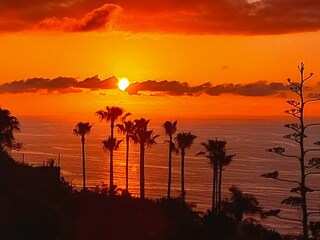 Holiday apartment Puerto de la Cruz Environment 35