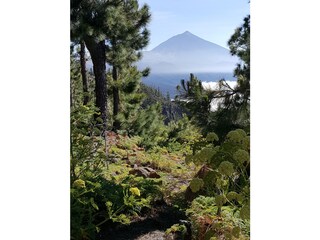 Vakantieappartement Puerto de la Cruz Omgeving 30