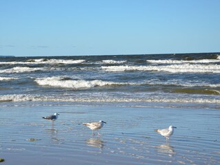 Strand Karlshagen