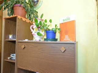 Appartamento Neustadt am Rennsteig  40