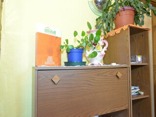 Appartement Neustadt am Rennsteig Équipement 29