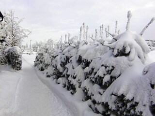 Appartement Neustadt am Rennsteig Enregistrement extérieur 8