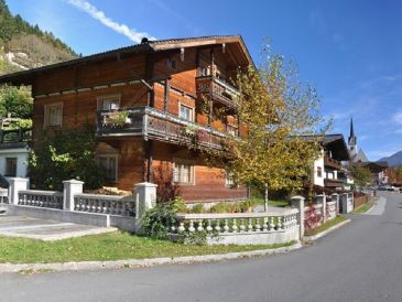 Ferienhaus Steiner