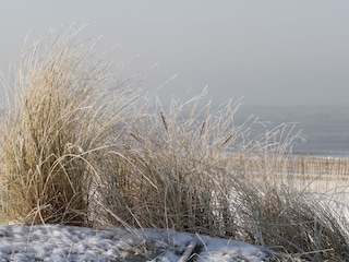 Chalet Noordwijk Environnement 15