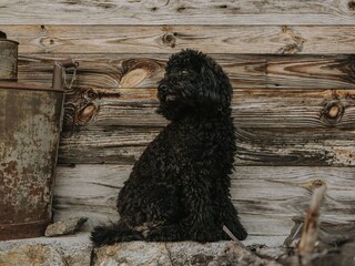 Chalet Lajen Ambiente 17