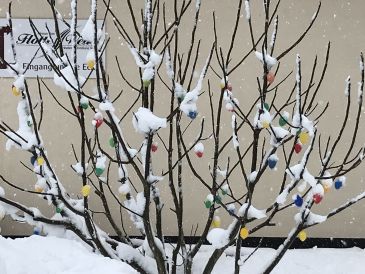Holiday house All Tied