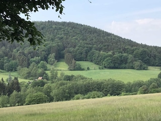 Natur vor der Tür