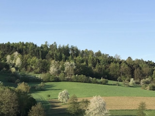 Ausblick Terrasse