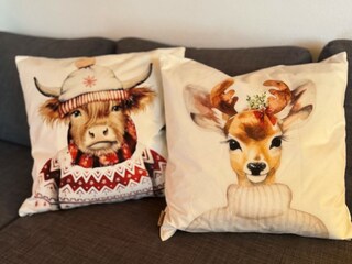 Appartamento per vacanze Hochkrimml Caratteristiche 12