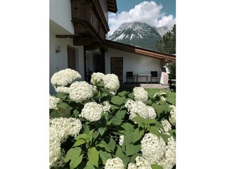 Appartamento Ellmau Registrazione all'aperto 5