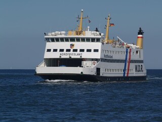 Fähre von Amrum,Föhr