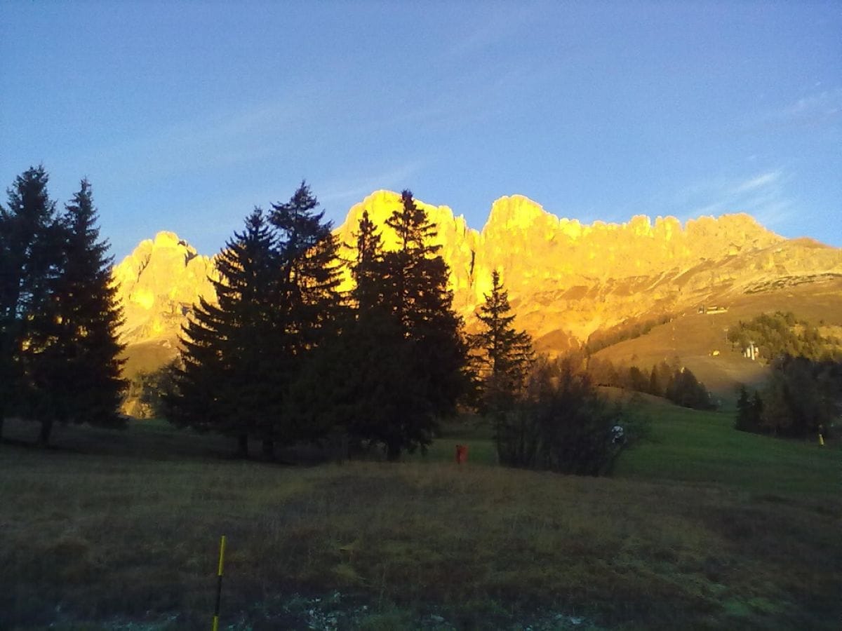 Rosengartengruppe im Herbstlicht