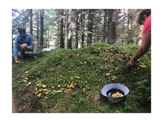 Appartamento per vacanze Hochkrimml Ambiente 35