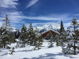 Appartamento per vacanze Hochkrimml Registrazione all'aperto 6