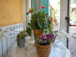 Vakantiehuis Monasterace  40