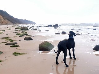 Appartamento per vacanze Wiek Ambiente 30