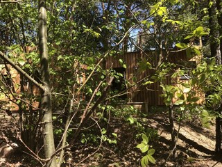 Ferienhaus Labaroche Außenaufnahme 8