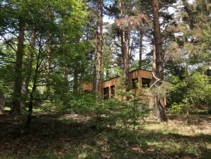 Ferienhaus Tra gli alberi