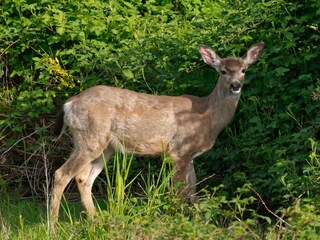 Casa per le vacanze Labaroche Ambiente 40