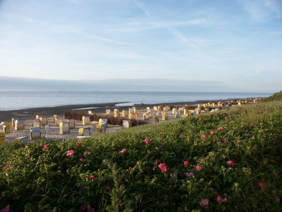 Duhnen am Strand