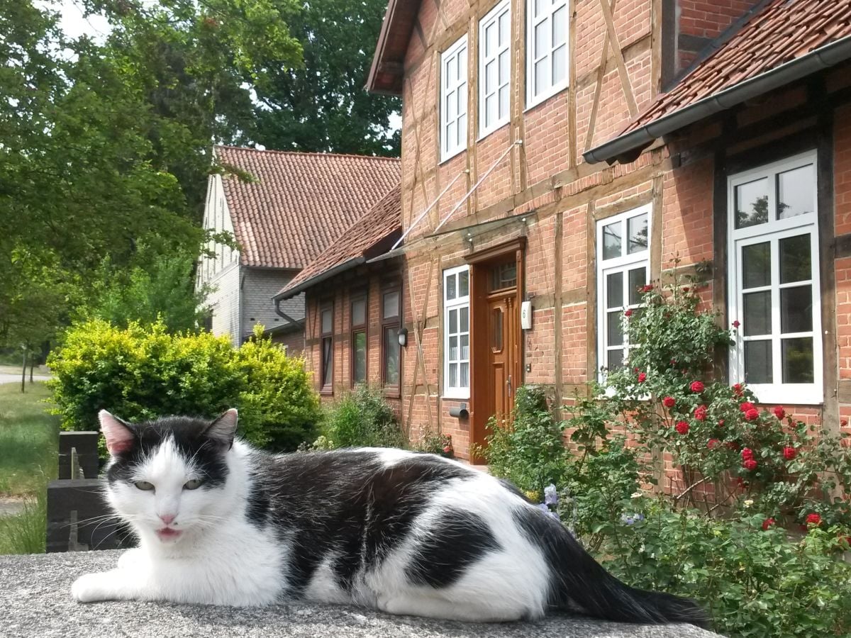 Unser Bauernhaus