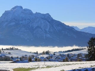 Vakantieappartement Rieden am Forggensee Omgeving 16