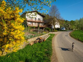 Appartamento per vacanze Yspertal Ambiente 4