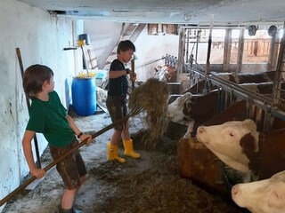 Vakantieappartement Yspertal Buitenaudio-opname 24