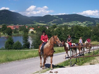 Appartamento per vacanze Yspertal  33