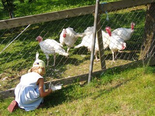 Appartamento per vacanze Yspertal Registrazione all'aperto 11