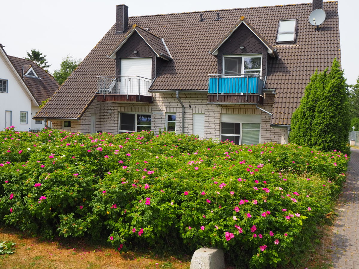 Ferienwohnung Kranichinsel