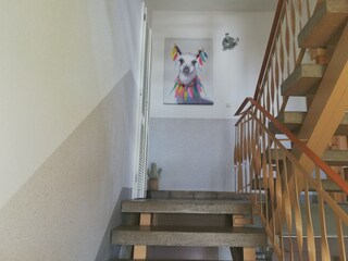 Apartamento Brotterode-Trusetal Características 15