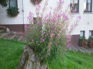 Appartement Brotterode-Trusetal Buitenaudio-opname 7