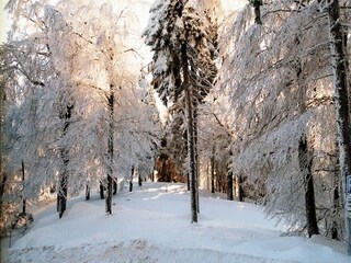 Appartement Brotterode-Trusetal Omgeving 32