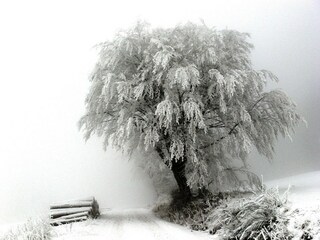 Appartement Brotterode-Trusetal Environnement 34