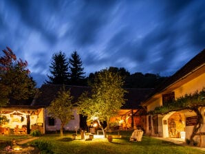 Farmhouse Casa Noah - Transylvania - Richis - image1