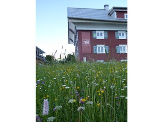 Vakantieappartement Hirschegg im Kleinwalsertal Buitenaudio-opname 12