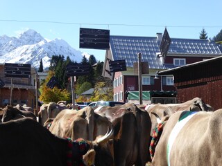 Vakantieappartement Hirschegg im Kleinwalsertal Omgeving 32