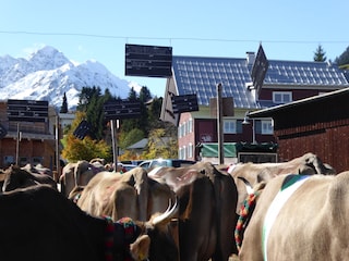Vakantieappartement Hirschegg im Kleinwalsertal Omgeving 34