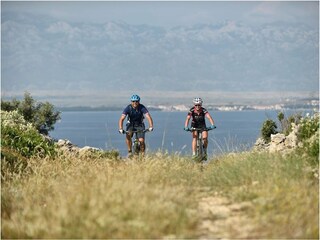 Vakantieappartement Zadar Omgeving 37