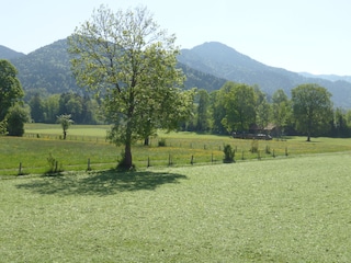 Ausblick nach Süd-Ost von Ihrem Balkon